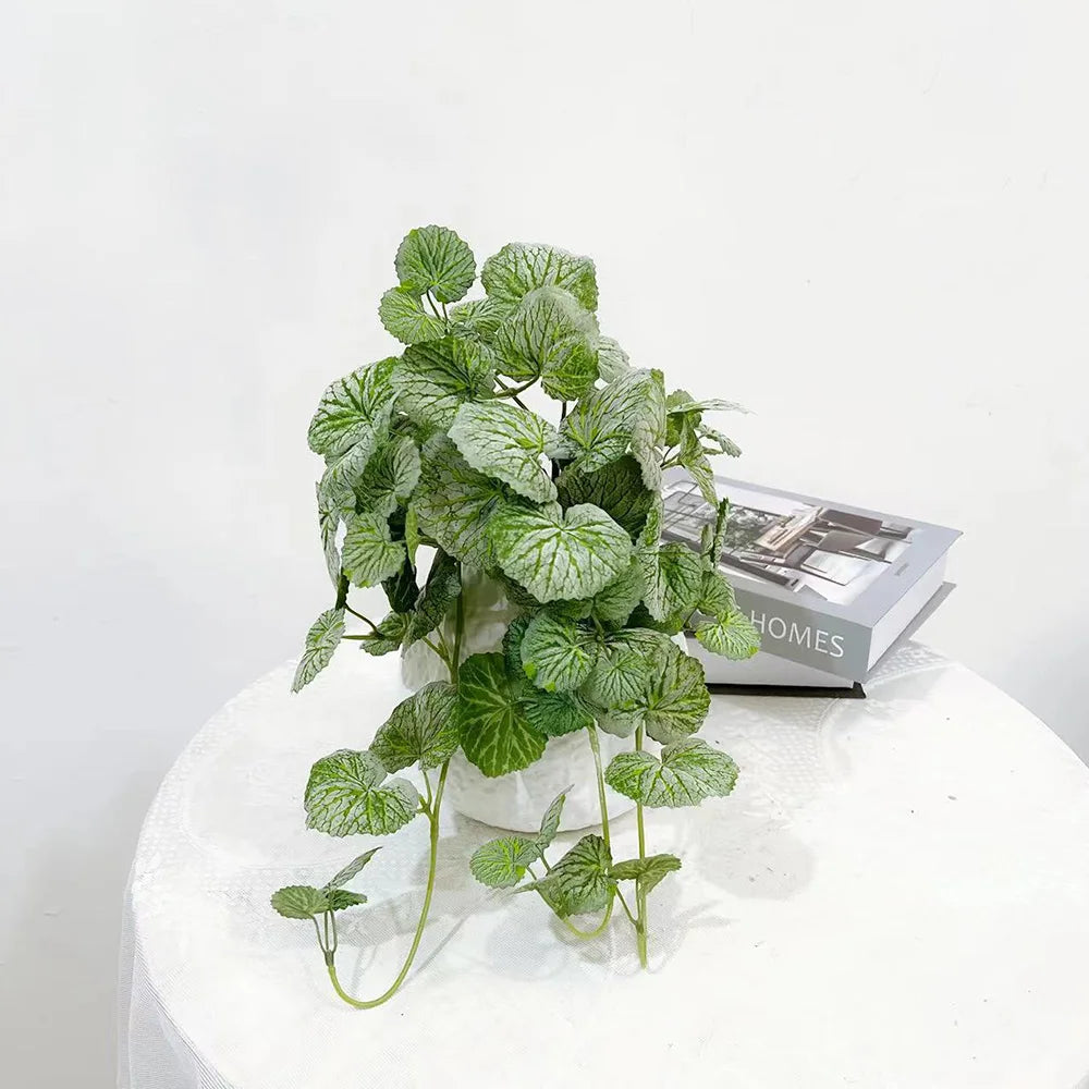  Green Indoor Plant with Vibrant Leaves Perfect for Home Decor