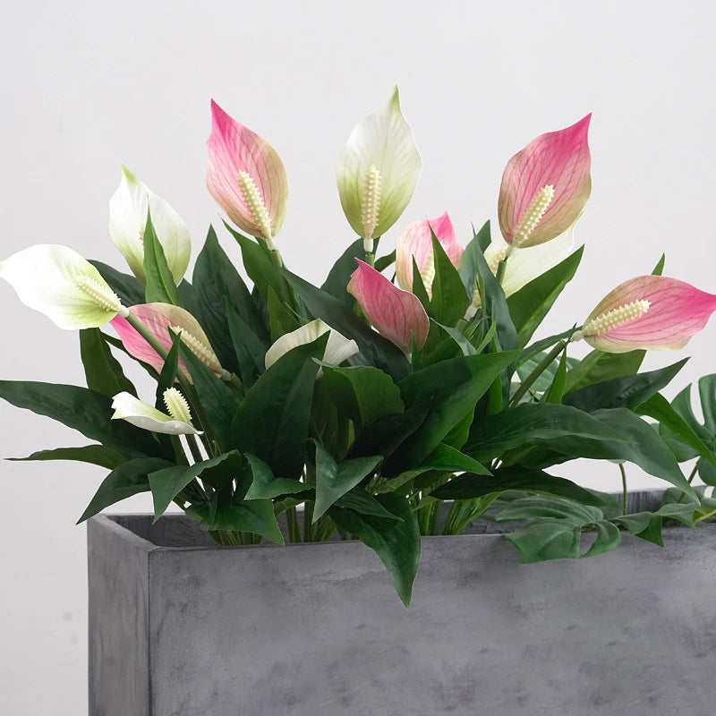 Peace Lily Plant Arrangement in Modern Gray Planter with Pink and White Blooms