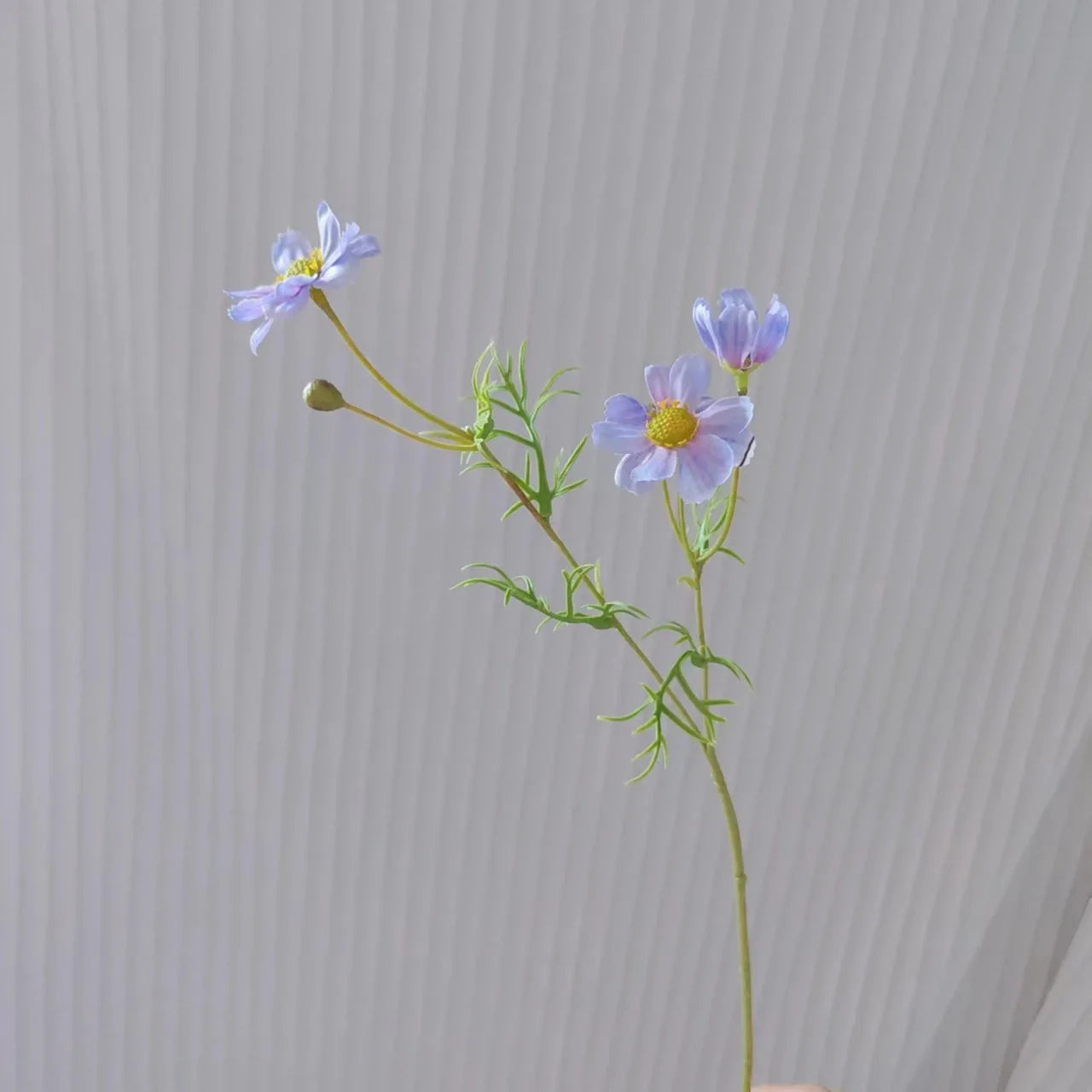 Delicate blue flowers with green stems, perfect for floral arrangements and home decor
