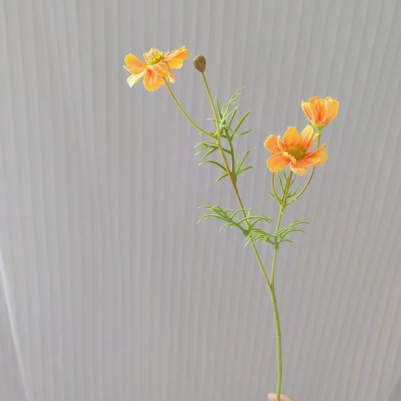 Vibrant orange flowers on green stems ideal for home decor and floral arrangements