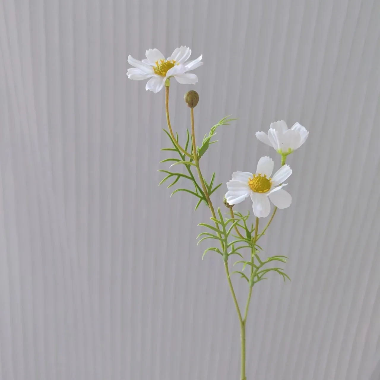 Beautiful white flowers in a delicate arrangement with green leaves from Mağazam