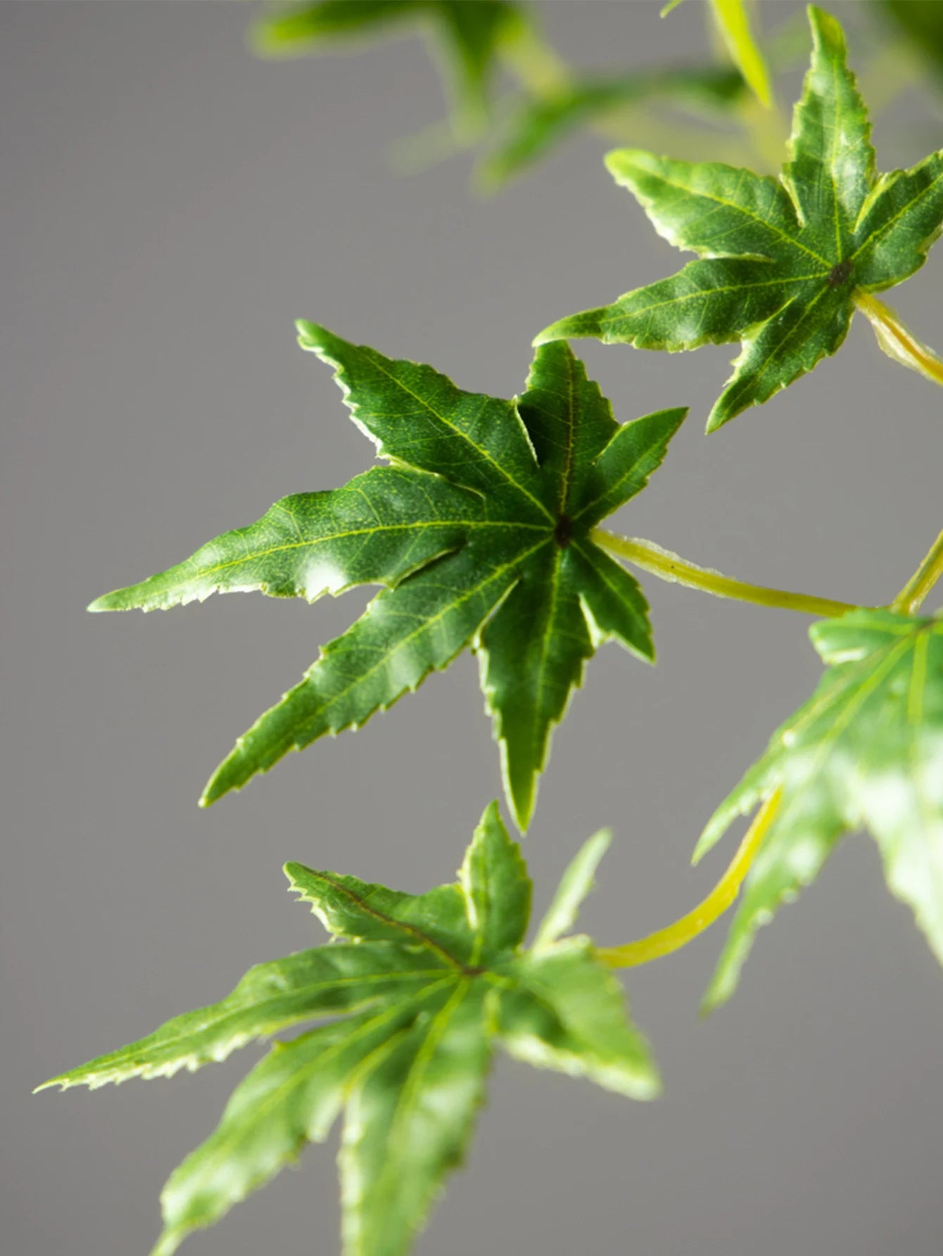 Artificial Green Maple Leaves by Mağazam Perfect for Home Decor and Floral Arrangements