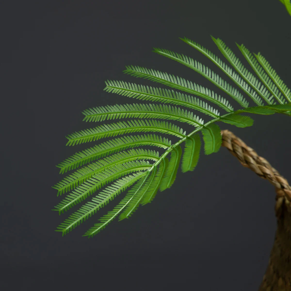 Realistic Fern Leaf Plant by Mağazam with Lush Green Foliage for Home Decor