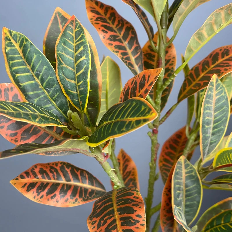  Artificial Rubber Plant with Variegated Leaves for Home Decoration