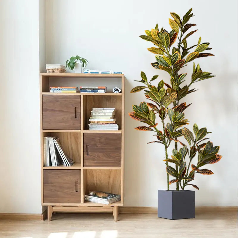 Wooden Bookshelf with Six Compartments and a Stylish Potted Croton Plant