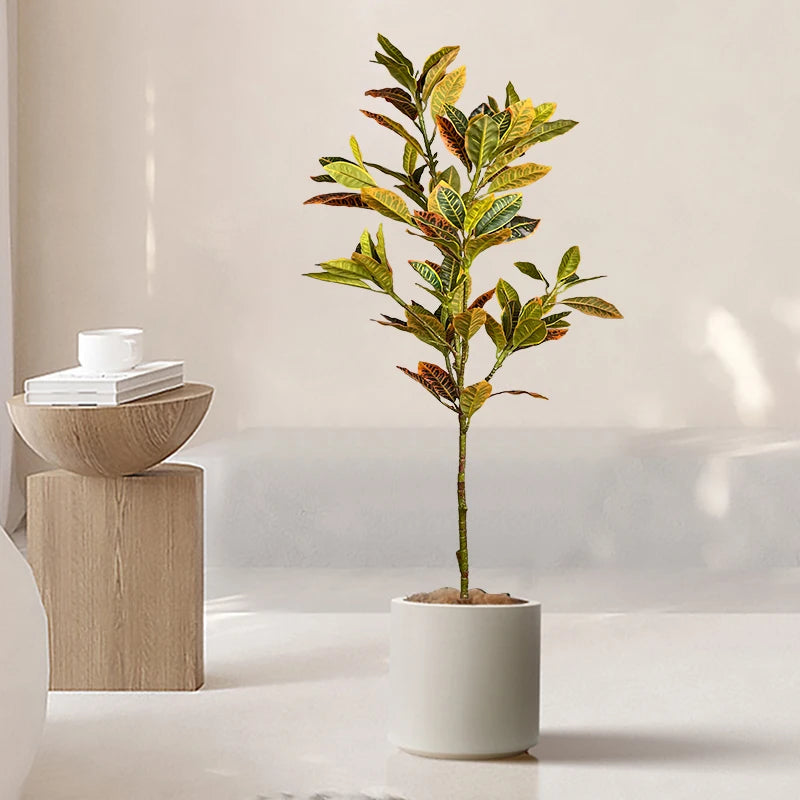  indoor potted plant with vibrant green and yellow leaves in a modern white planter