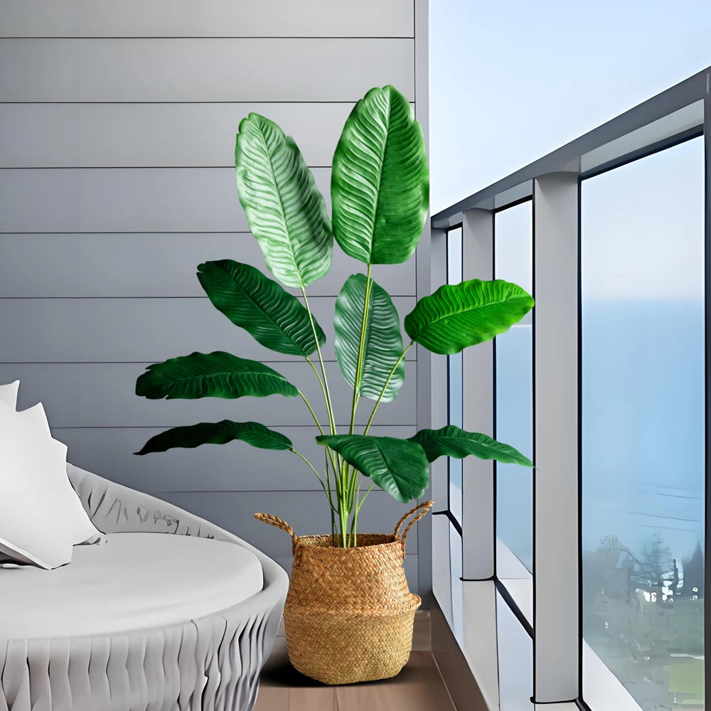  indoor plant in a woven basket on a balcony with a view, enhancing home decor