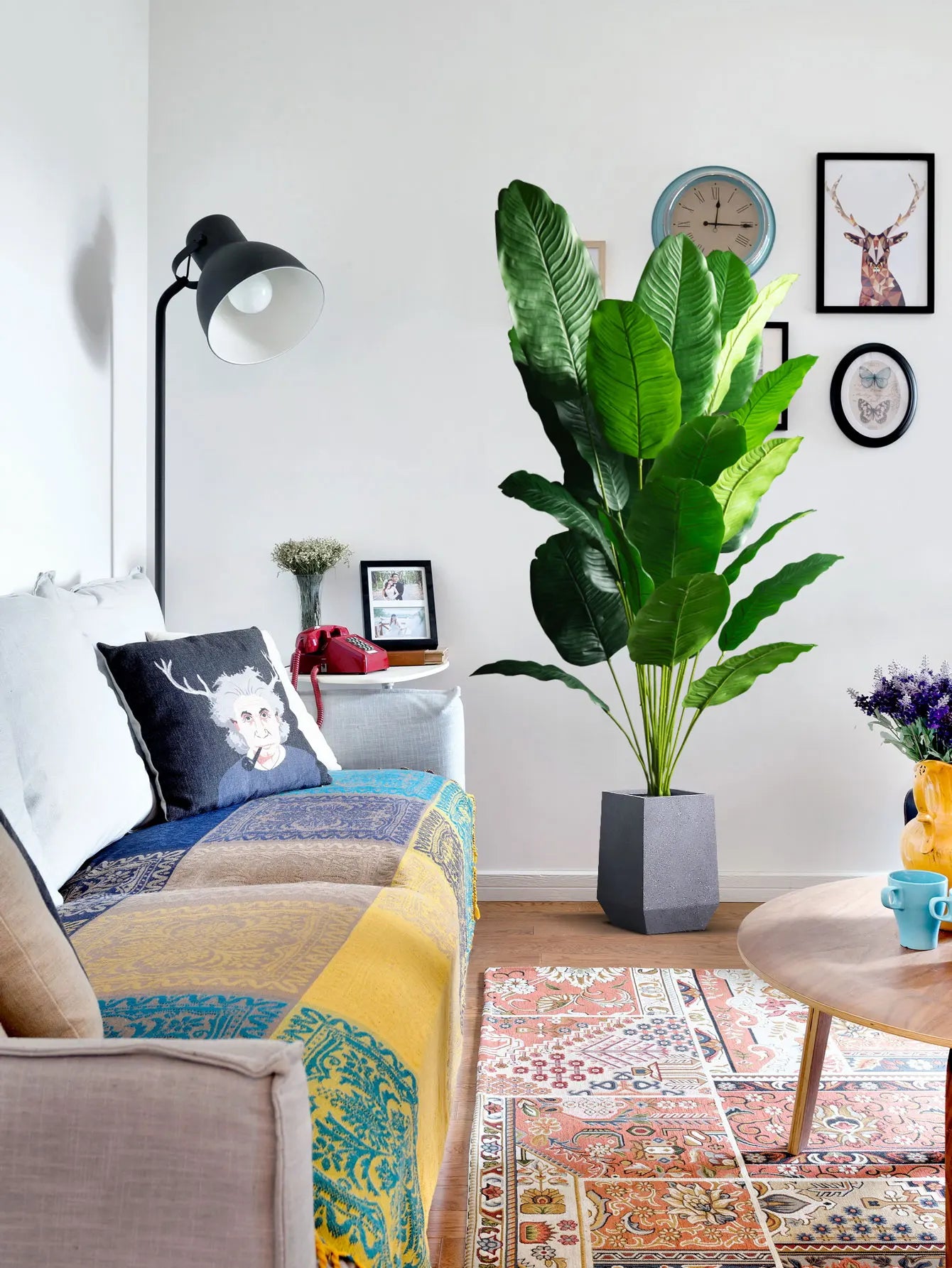 Stylish living room with a large indoor plant, decorative cushion, and colorful rug for a cozy ambiance