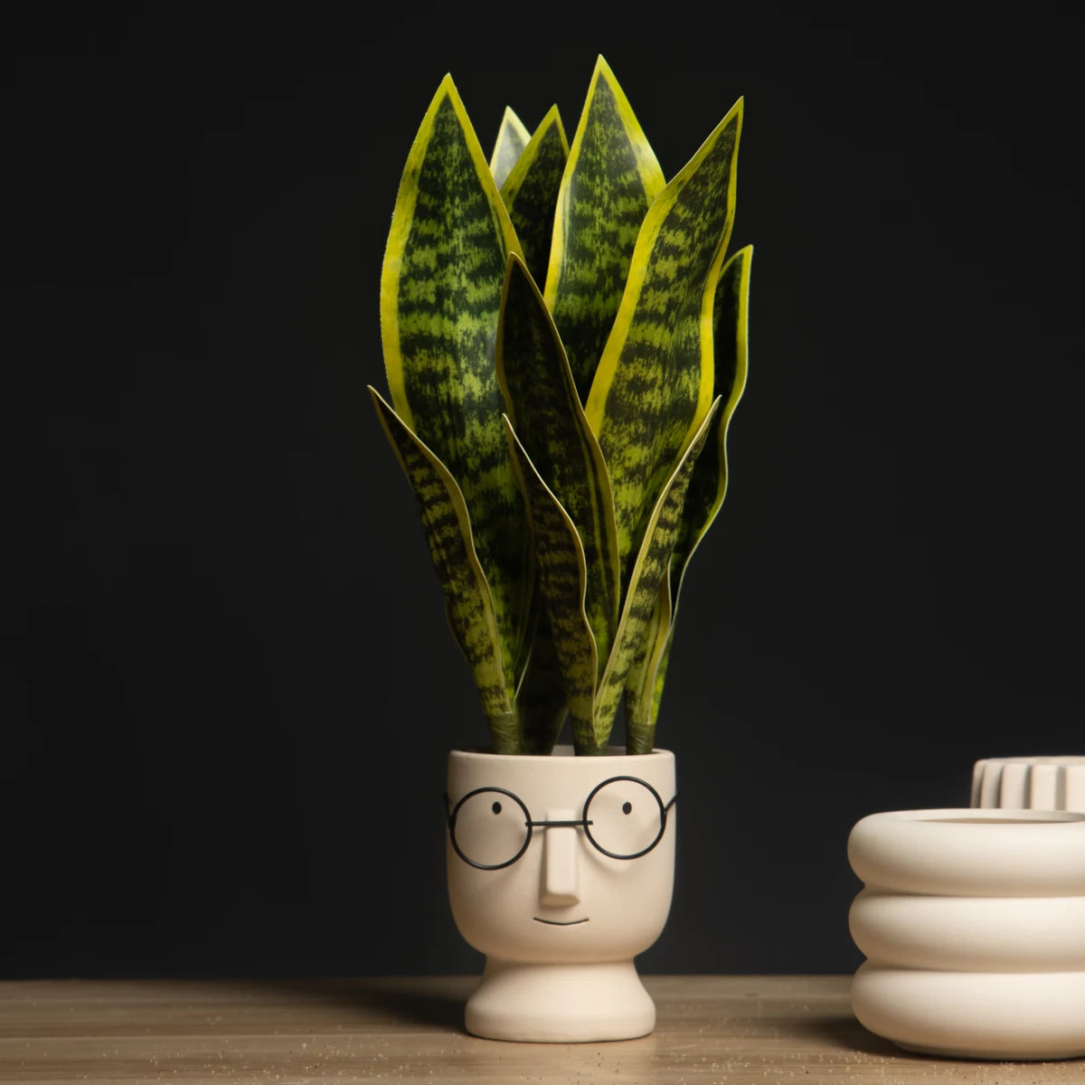 Stylish artificial snake plant decor in a unique ceramic pot with a cute face design