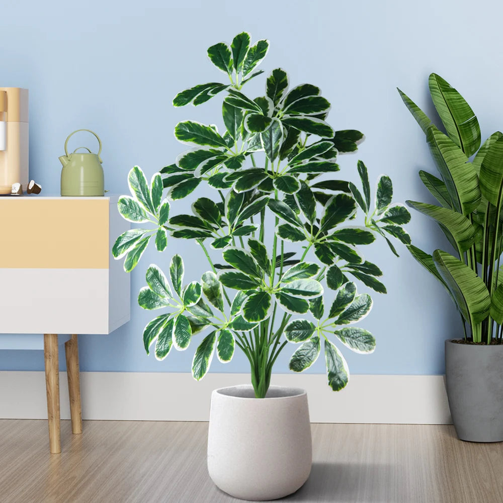 indoor decorative plant with green and white variegated leaves in a modern white pot