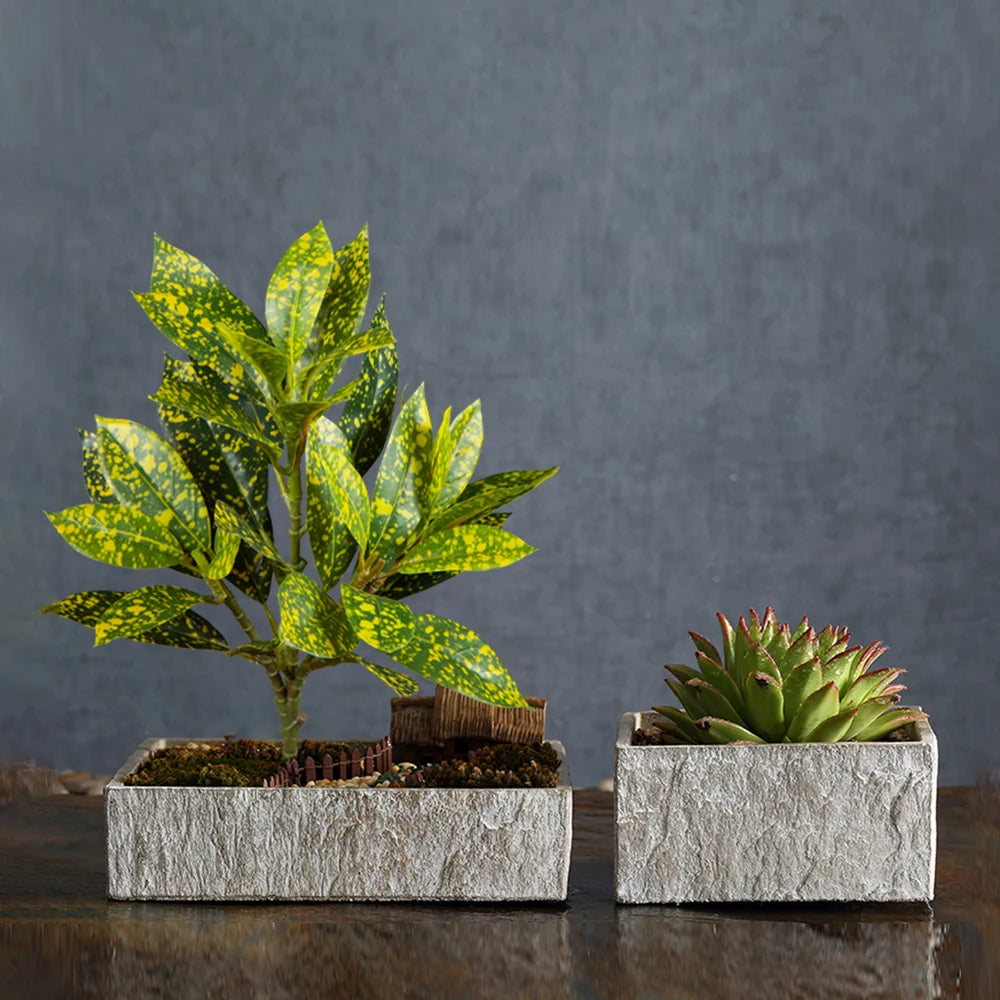 Indoor Plant Set with Vivid Green Leaves and Succulent in Stylish Stone Planters