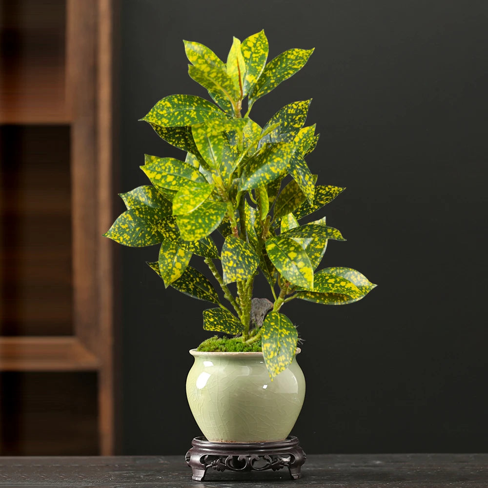Decorative Potted Plant with Lush Green Leaves in a Elegant Ceramic Pot