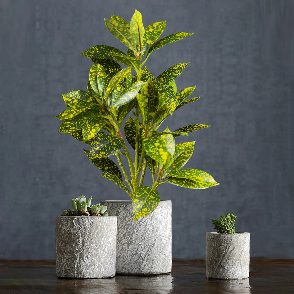 Decorative Indoor Planters with Green Foliage and Succulents in Textured Stone Pots