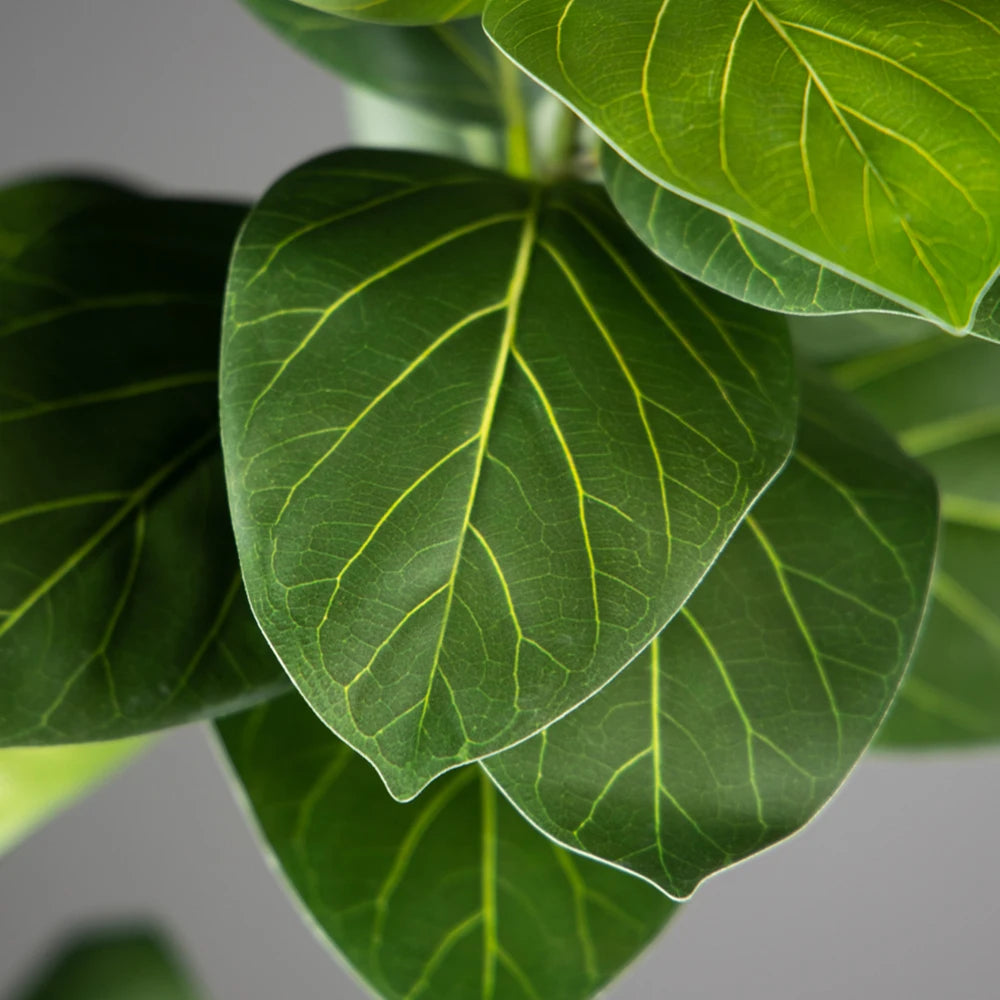 Close-up of jannaflora artificial fiddle leaf fig leaves with vivid green color and prominent veins