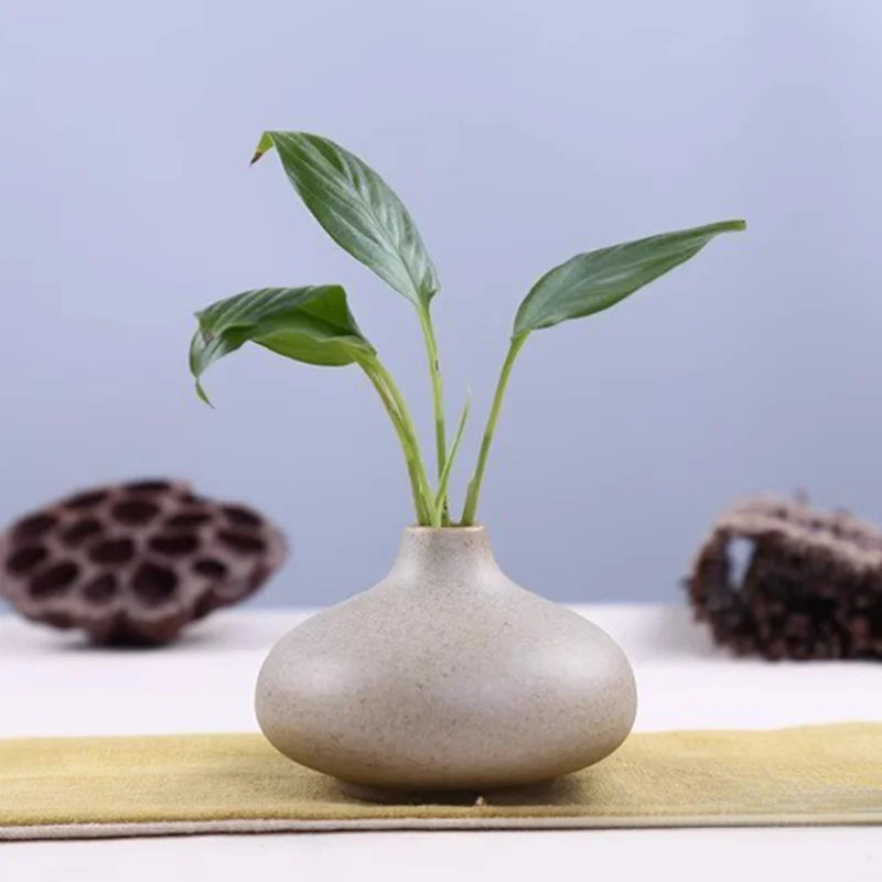 Elegant grand ceramic vases with a sleek design, perfect for home decor and indoor plants
