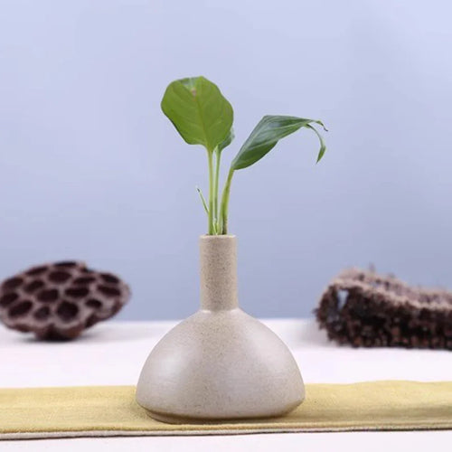 Minimalist Grand Ceramic Vases with Green Plant Accents for Stylish Home Decor