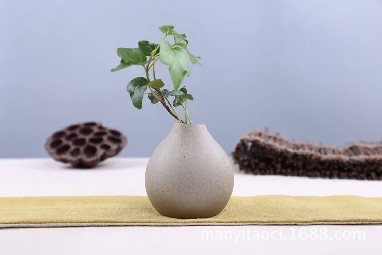 Elegant grand ceramic vases with a minimalist design showcasing a green plant