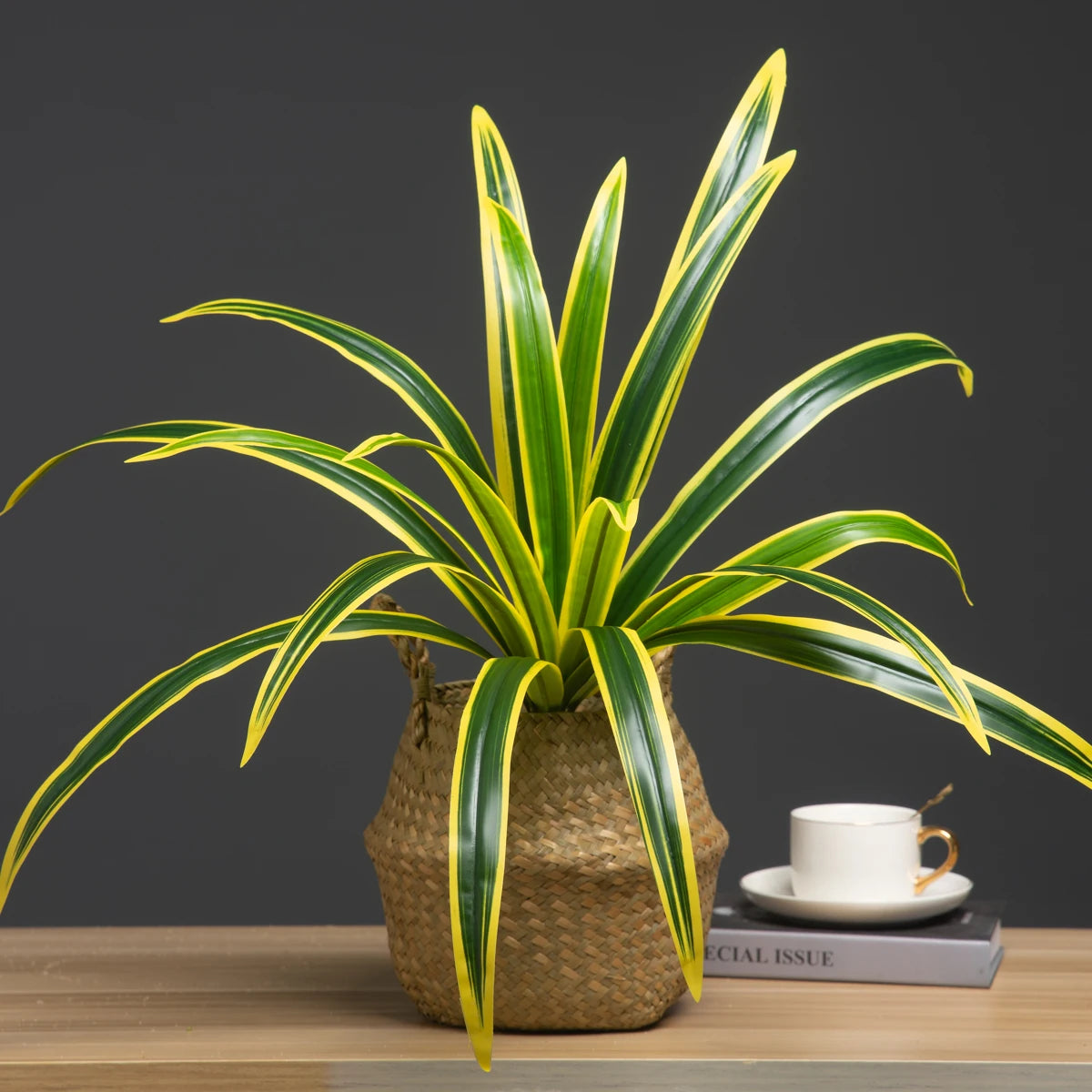 Potted Spider Plant with Green and Yellow Leaves in a Natural Woven Basket