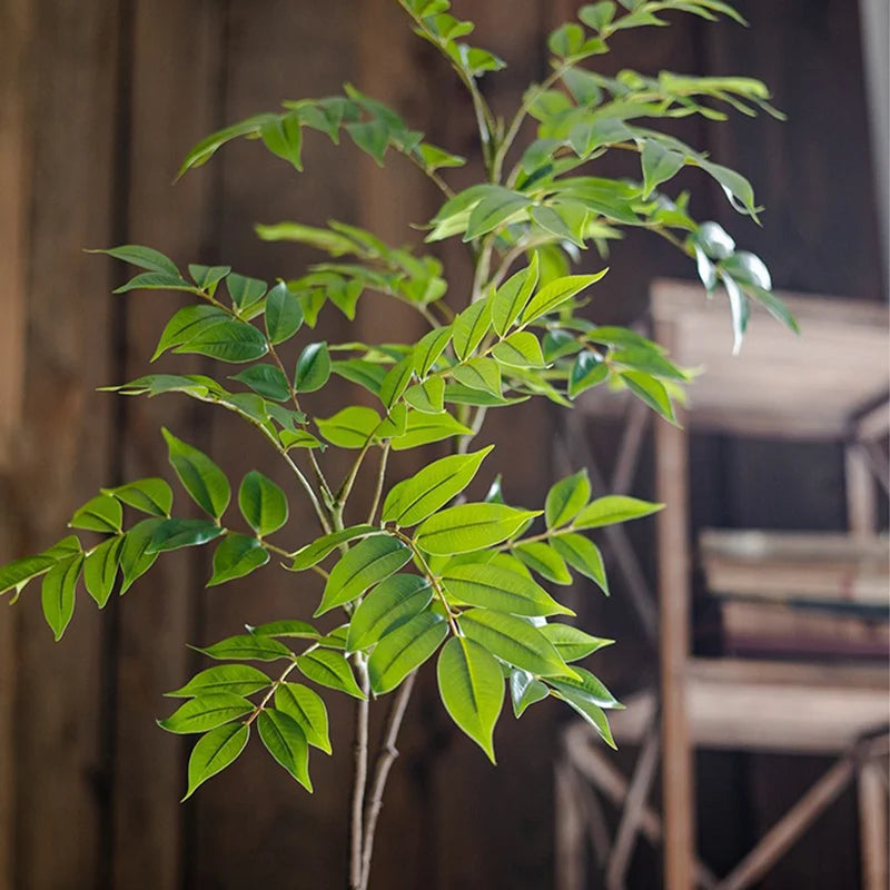  Indoor Tree Plant with Lush Green Leaves for Home Decor and Air Purification