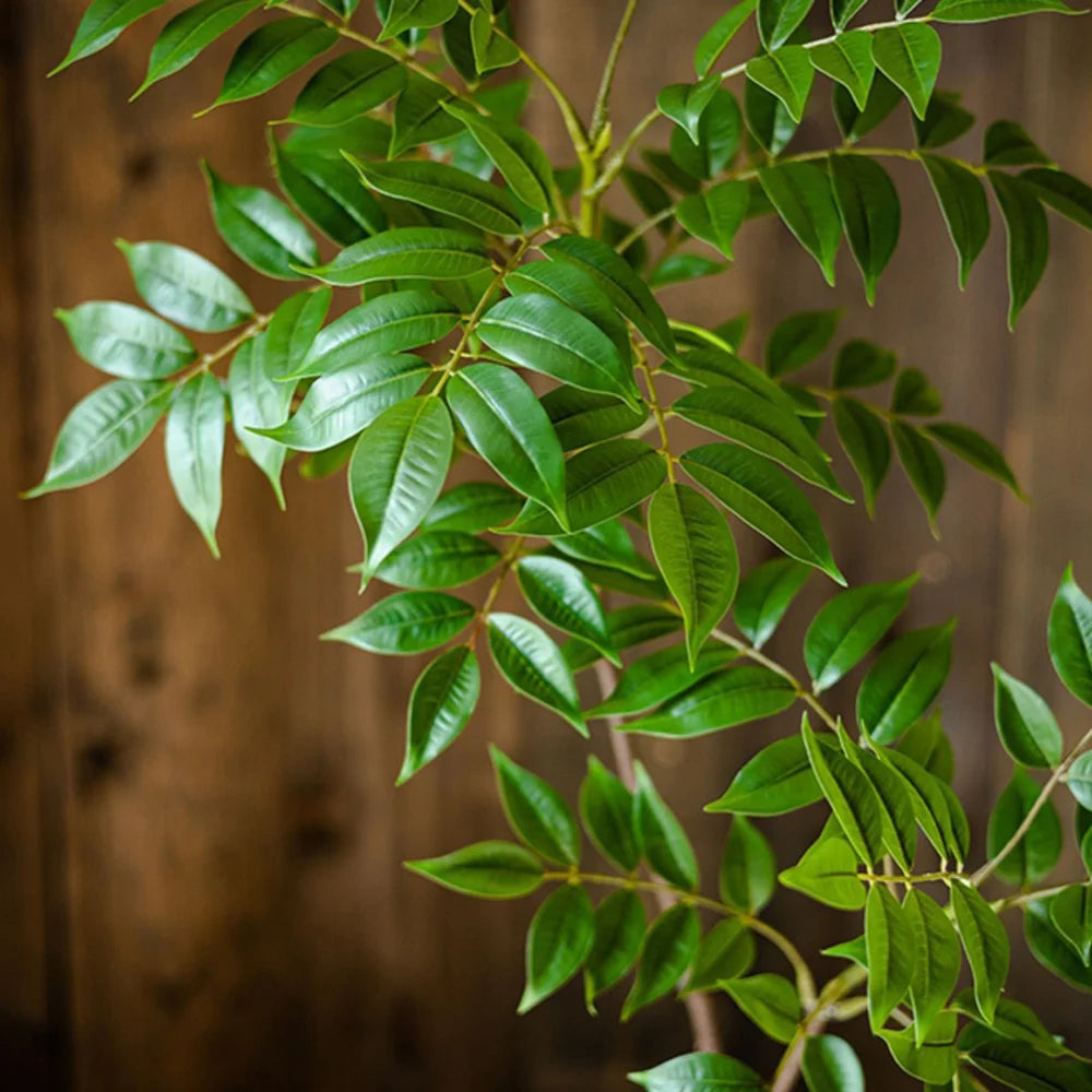 Realistic Green Foliage Plant Branch from Mağazam for Home Decor and Indoor Gardens