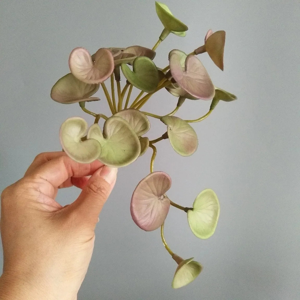 Hand-Held Decorative Plant with Heart-Shaped Leaves in Soft Green and Pink Tones