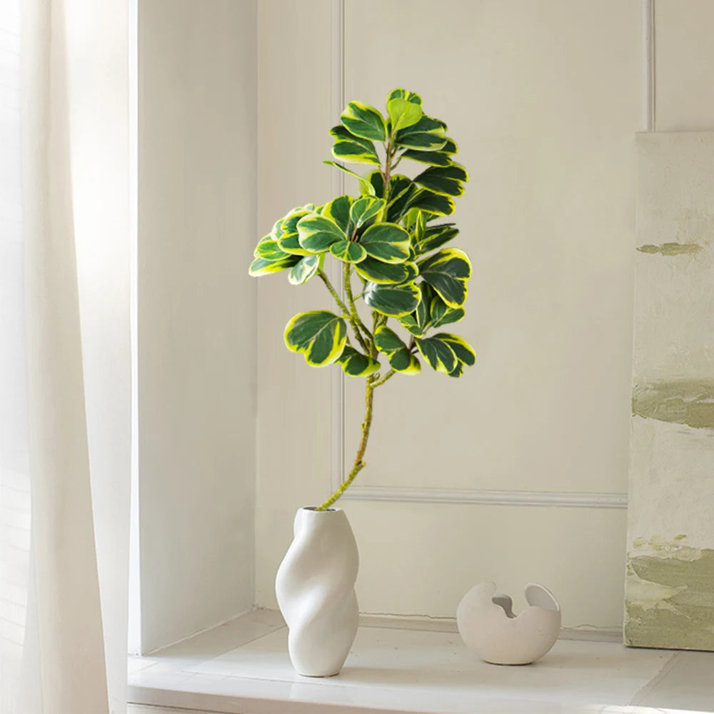 Indoor potted plant with variegated leaves in a modern white wavy vase on a bright windowsill