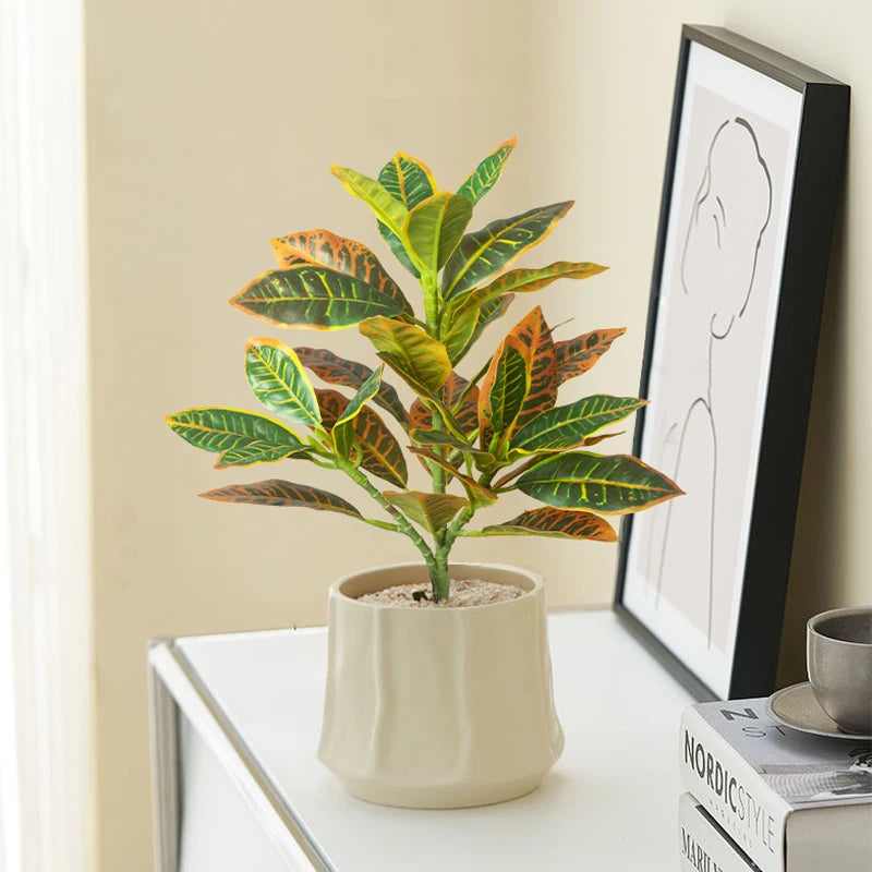  Indoor Croton Plant in a Beige Pot, Perfect for Home Decor and Air Purification