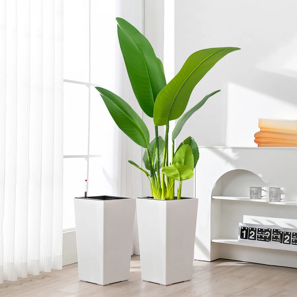 Modern white rectangular planter set with lush green indoor plants for home decor