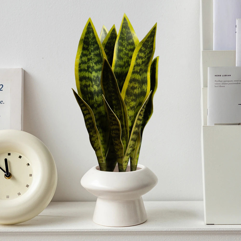 Snake Plant in White Pot, Ideal Indoor Decoration with Green Striped Leaves