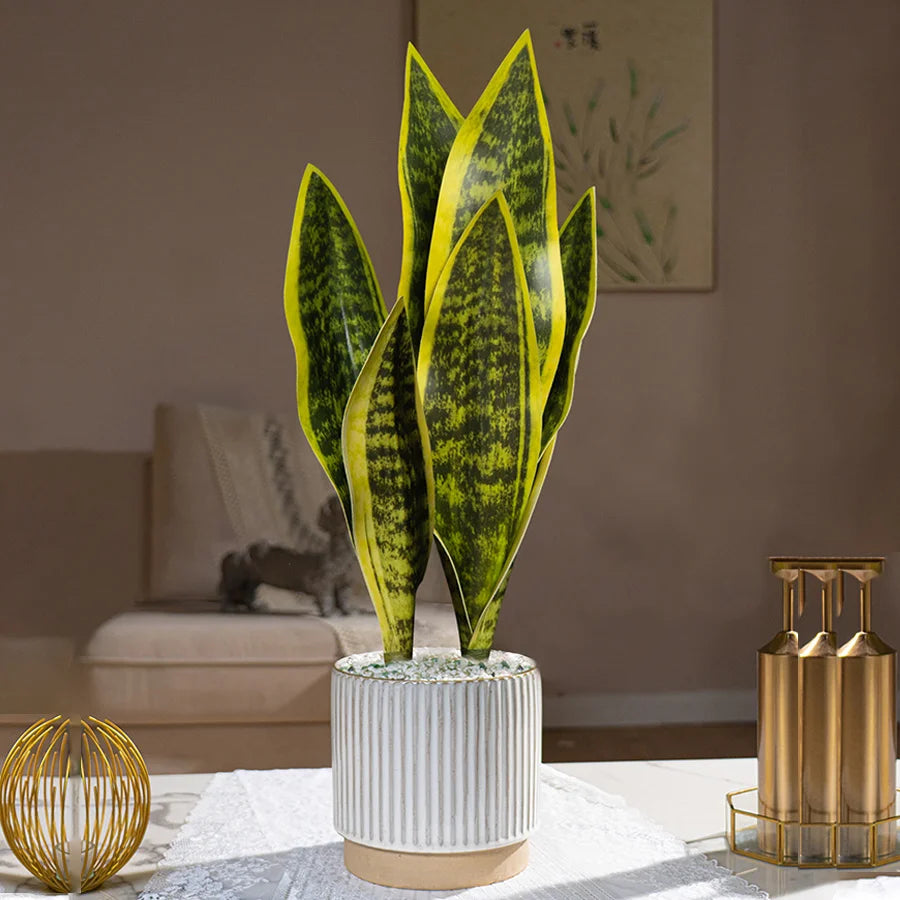 Snake Plant with Vibrant Yellow Edges in Decorative Pot for Indoor Decor