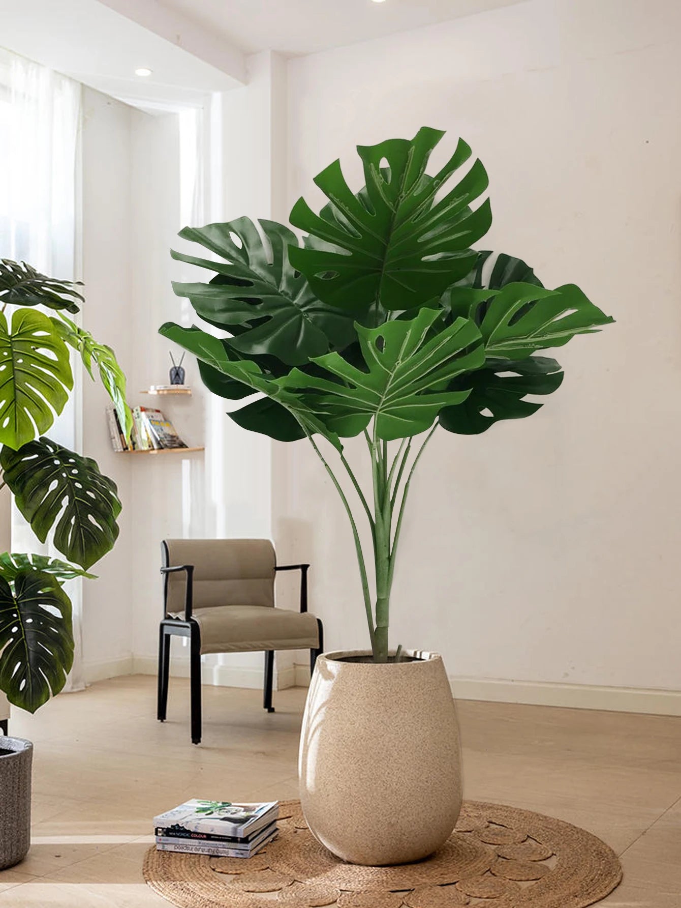 Monstera Plant in Decorative Pot for Vibrant Indoor Décor