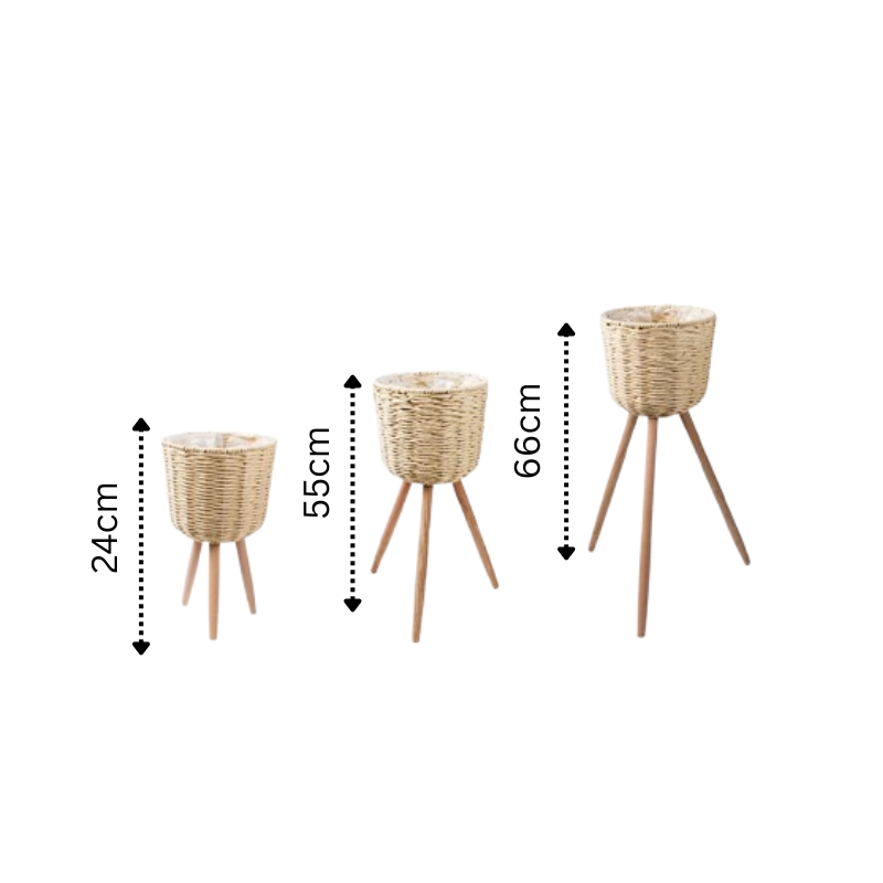 Set of three Mağazam wicker plant pots with wooden legs, sizes 24cm, 55cm, and 66cm for indoor decor