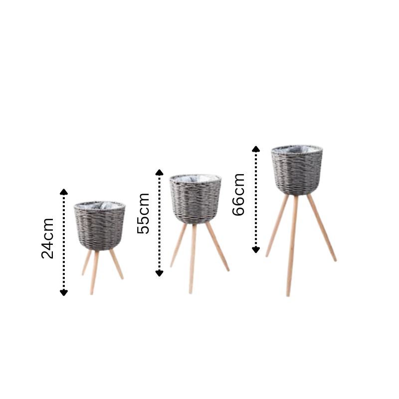 Set of Three Mağazam Wicker Plant Pots with Wooden Legs in Varying Heights of 24cm, 55cm, and 66cm