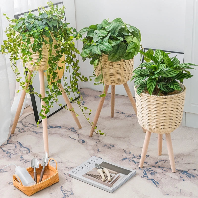Decorative Plant Stands with Beautiful Indoor Plants and Natural Woven Baskets