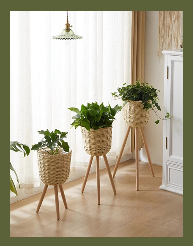 Set of three woven plant pots on wooden stands with green foliage for indoor decor