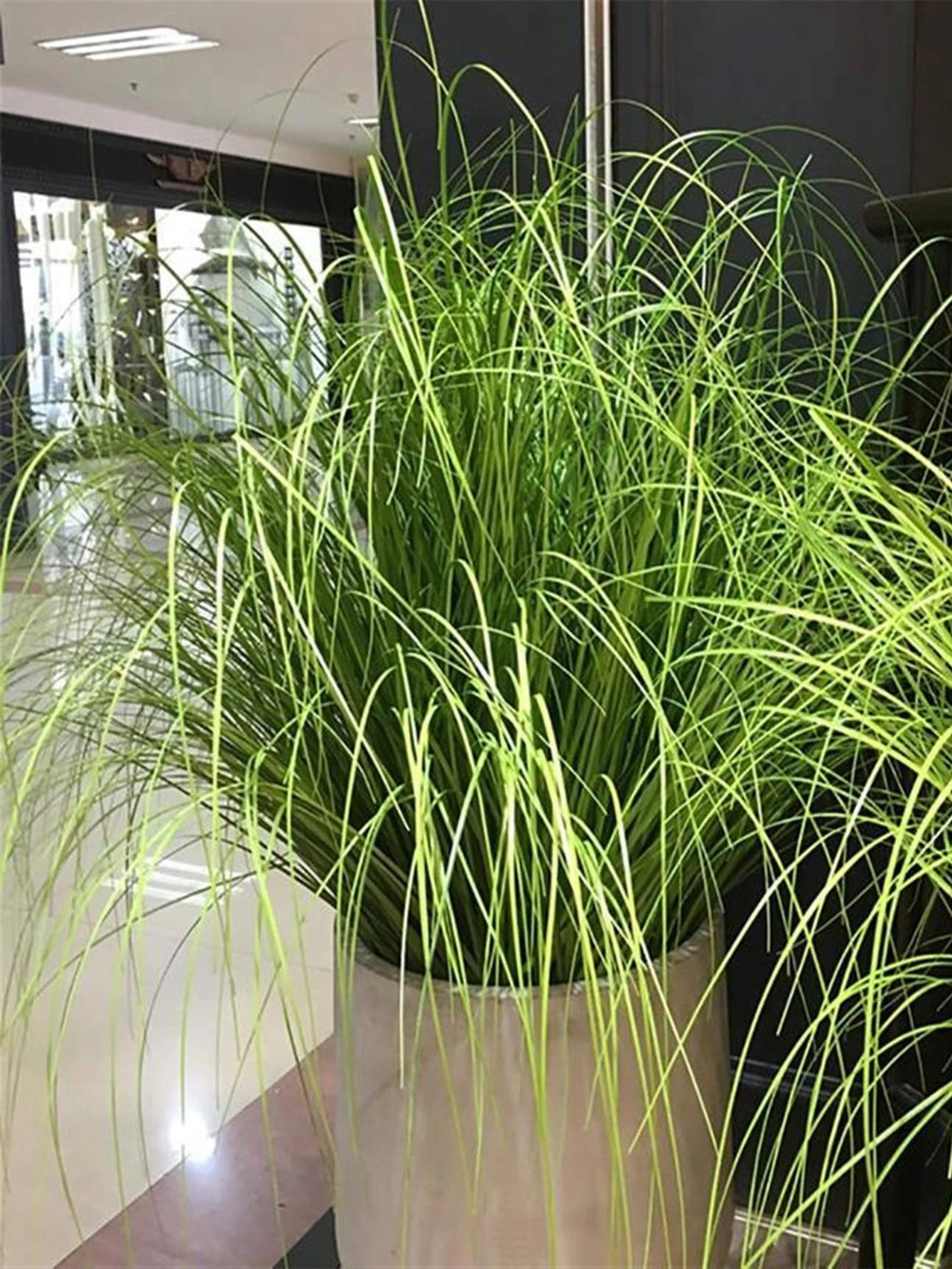 Lush tropical green plants for weddings displayed in a modern planter for elegant decor