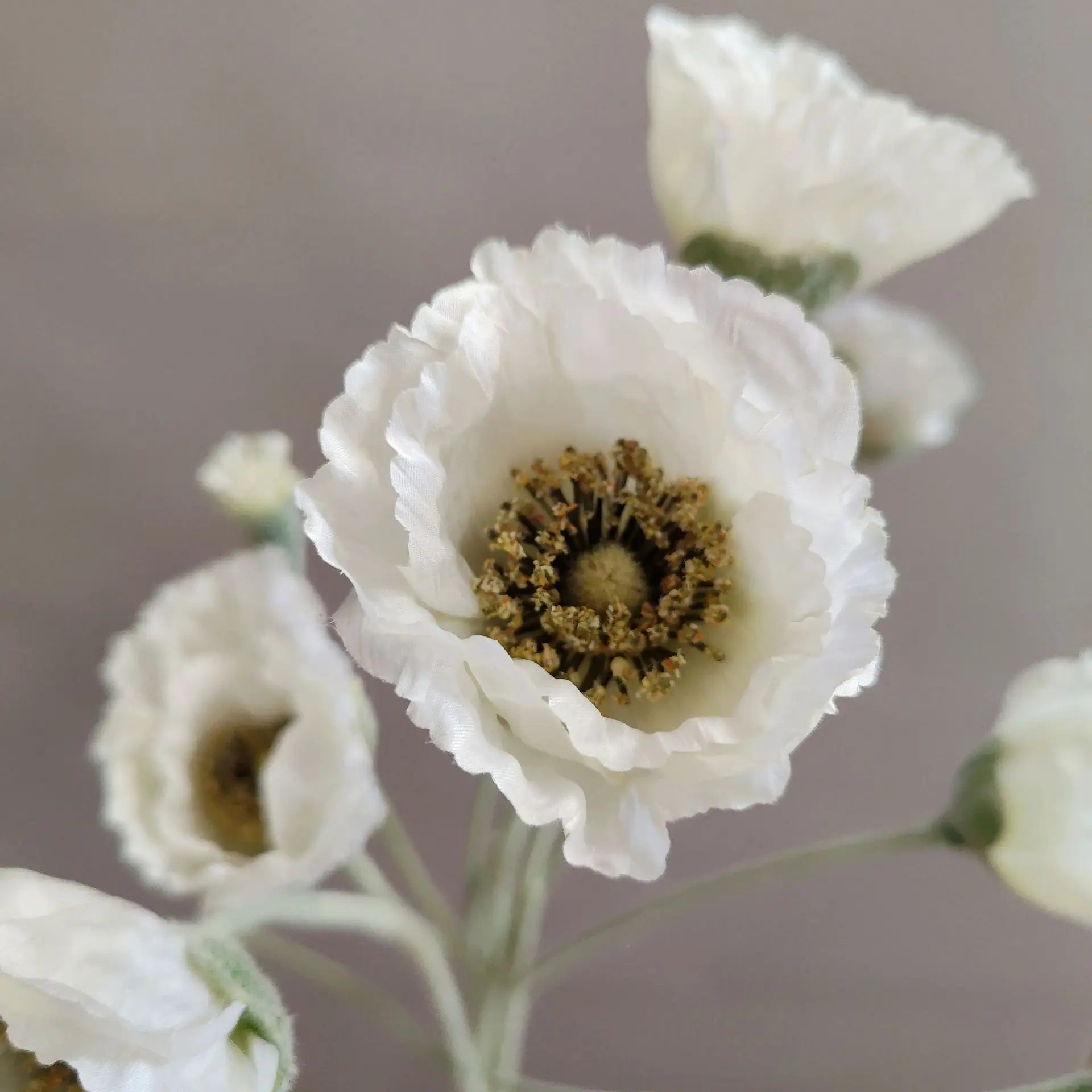 Elegant white artificial poppy flowers in a bouquet for home decor and weddings