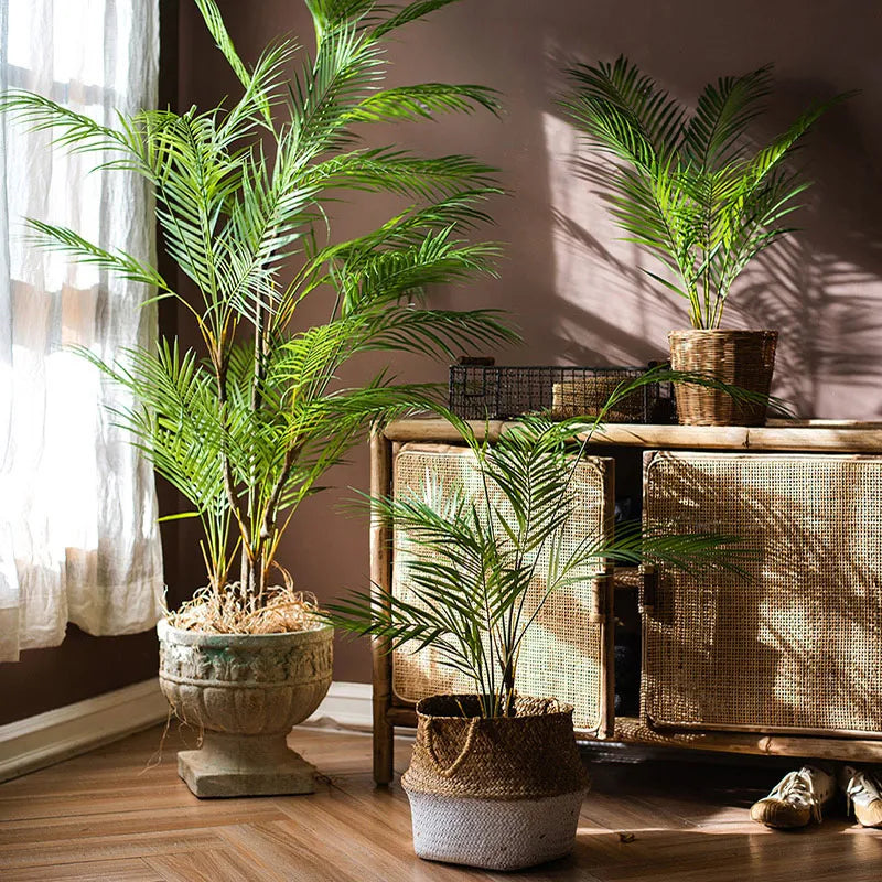 Indoor potted palm plants in decorative pots enhancing home decor with natural greenery