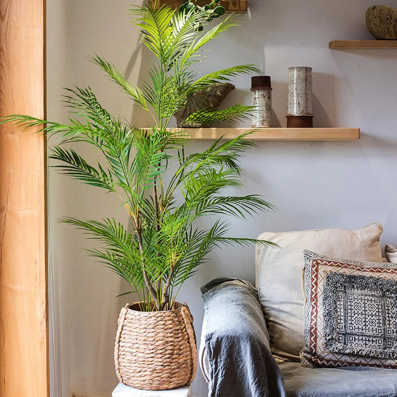 Lush Green Potted Indoor Plant in a Woven Basket Adding Natural Decor to a Cozy Living Room
