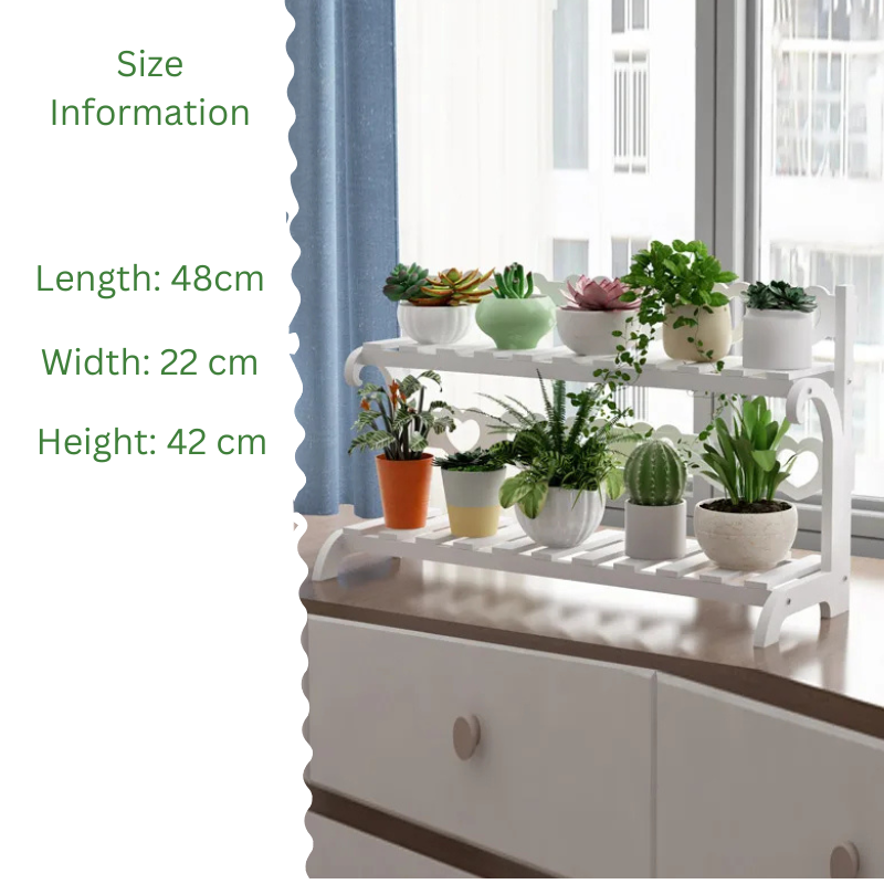 Wooden plant shelf indoor with multiple tiers for displaying potted plants in stylish home decor