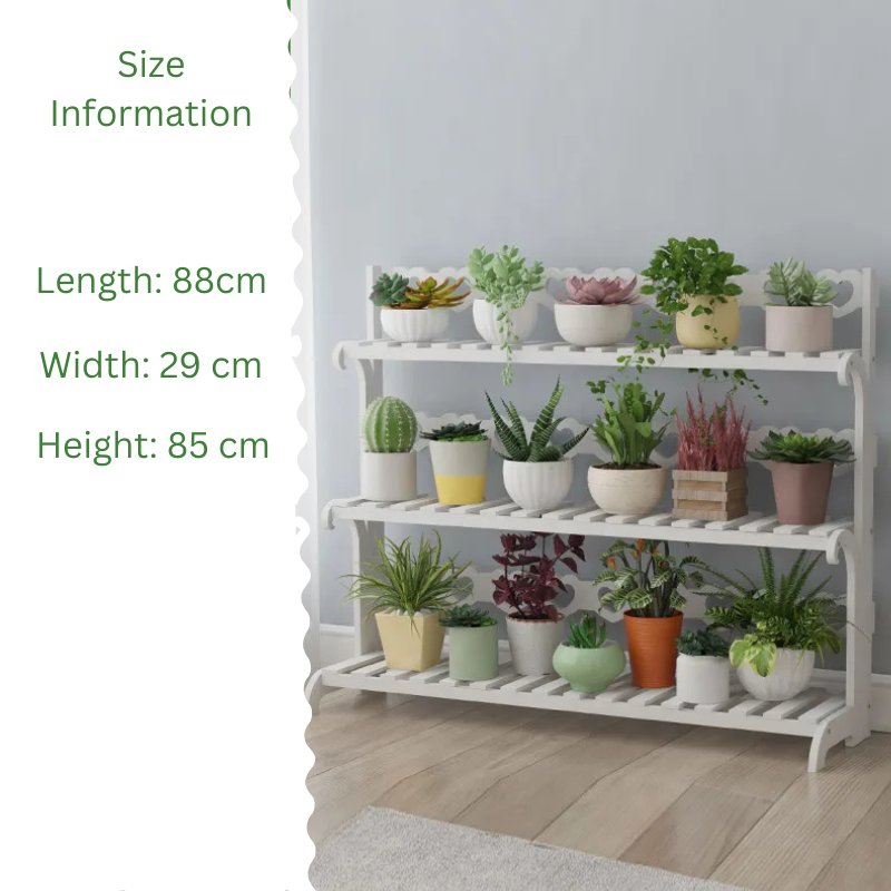 Wooden plant shelf indoor with five tiers for displaying a variety of plants and flowers