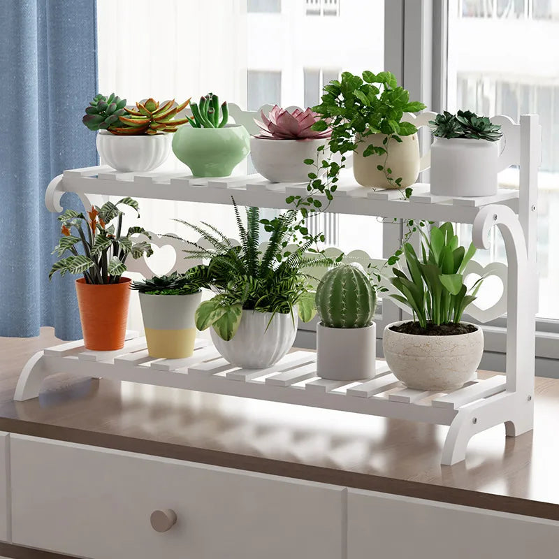 Wooden plant shelf indoor featuring multiple tiers for displaying various potted plants and succulents